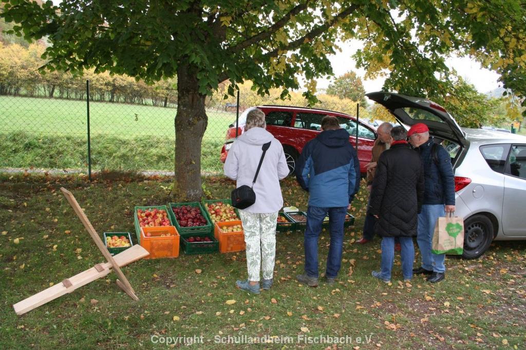 rc_Steuobstwiesenfest 2025_08